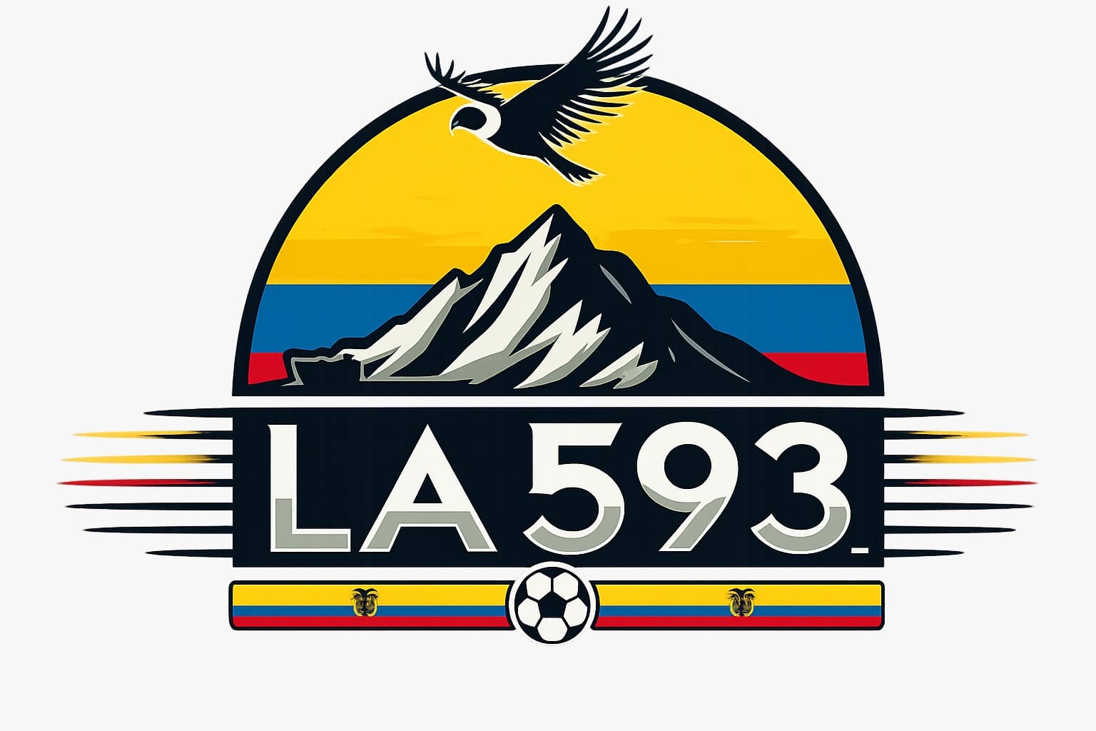 Logo La 593